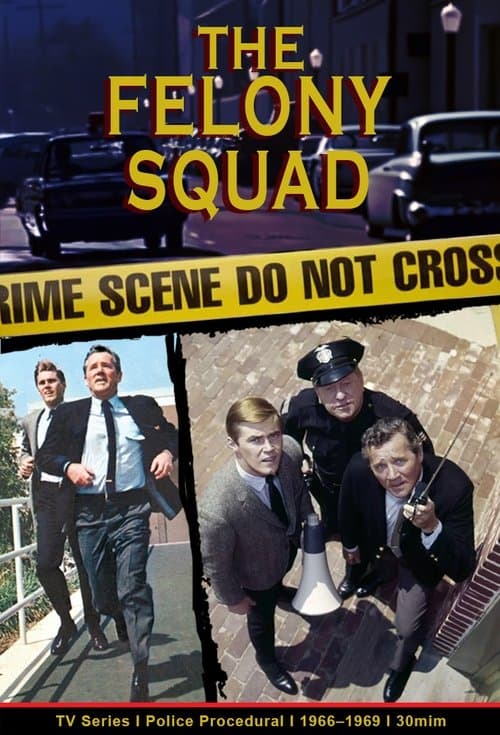 Felony Squad virpe - serial online bez limitu!